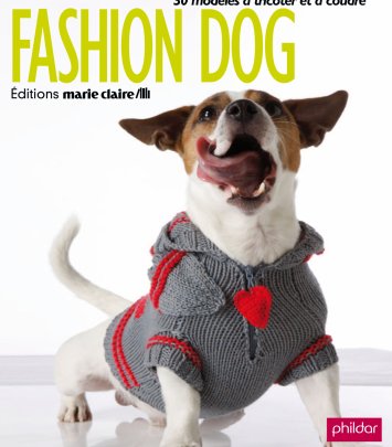 Fashion Dog